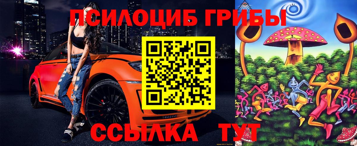 Галлюциногенные грибы MAGIC MUSHROOMS  Вход с VPN  Галлюциногенные грибы ЛСД  Сердобск 